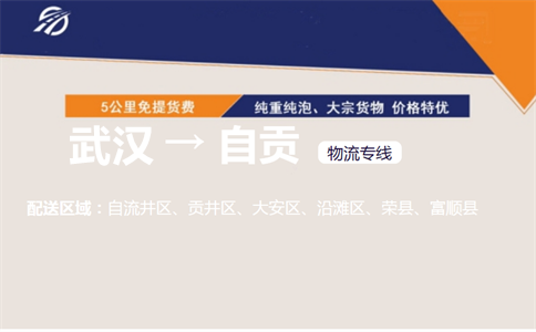 优质武汉到自贡自流井区物流专线