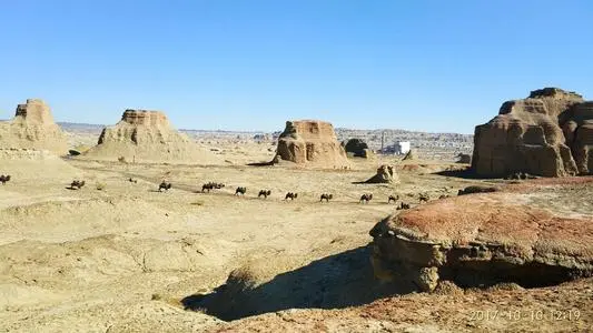 武汉到克拉玛依白碱滩区物流公司_武汉至克拉玛依白碱滩区货运专线