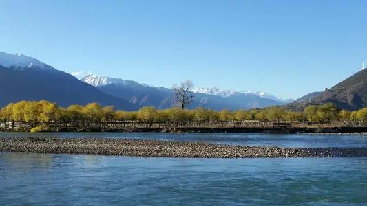 武汉到林芝巴宜区物流公司_武汉至林芝巴宜区货运专线