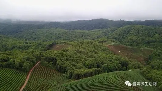 武汉到普洱思茅区物流公司_武汉至普洱思茅区货运专线